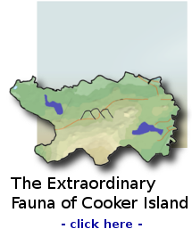 The Extraordianry Fauna of Cooker Island