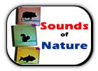sounds of nature