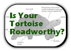 Is your tortoise roadworthy?