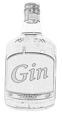 gin bottle