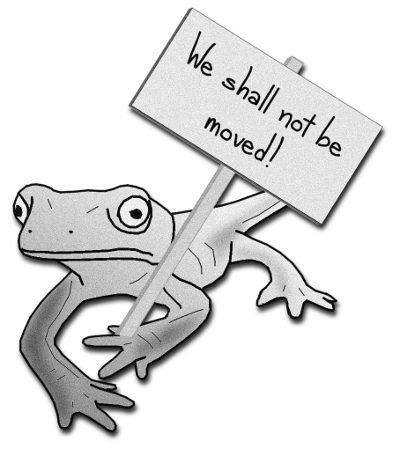 This newt will not be moved