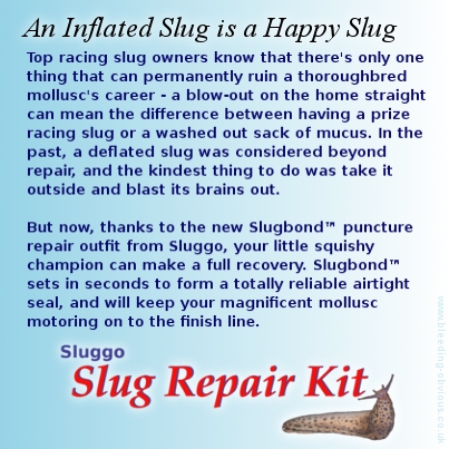 Sluggo Slug Repair Kit