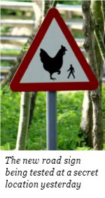chicken warning sign
