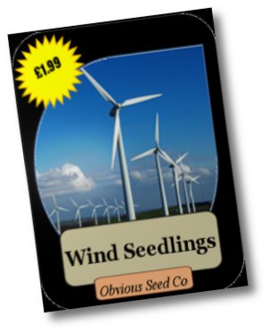 Wind Seedlings