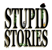 Stupid Stories
