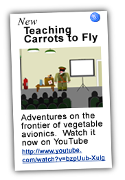 YouTube: Teaching Carrots to Fly