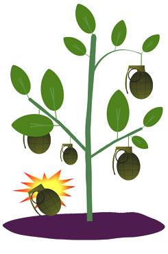 Grenade plant